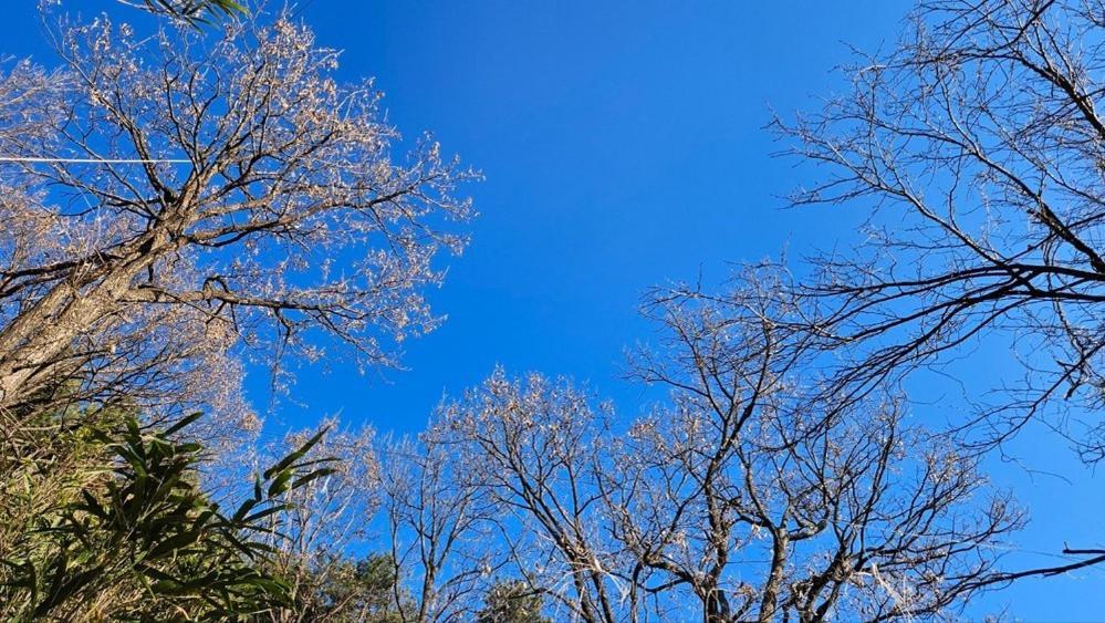 Yangyang Little Forest Pension Eksteriør billede